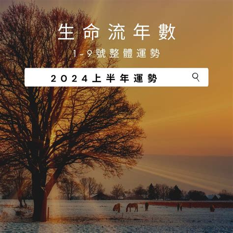 桃花運變好|V生命靈數／ 2024上半年【感情運勢】分析&生命流年。